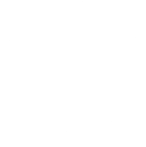 Sunchild Yogi